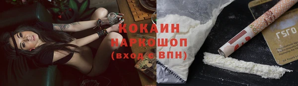 твердый Иннополис