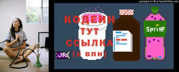 твердый Иннополис