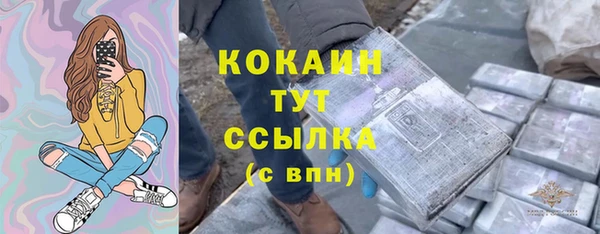твердый Иннополис