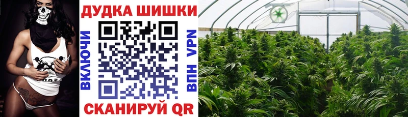 Бошки Шишки VHQ  Певек 